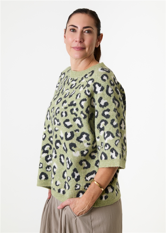 Leopard Jacquard Short Sleeve Raglan Jumper