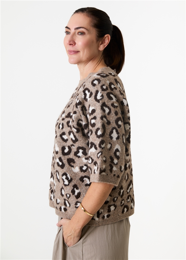 Leopard Jacquard Short Sleeve Raglan Jumper